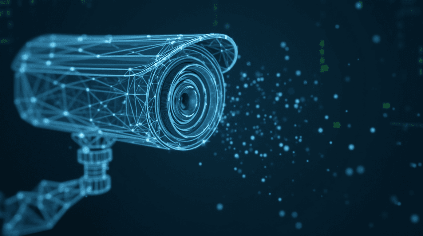 Video Surveillance Organization