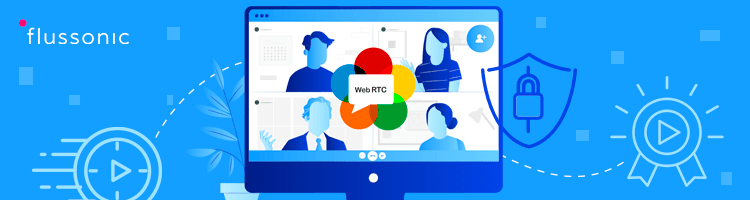 RTSP protocol